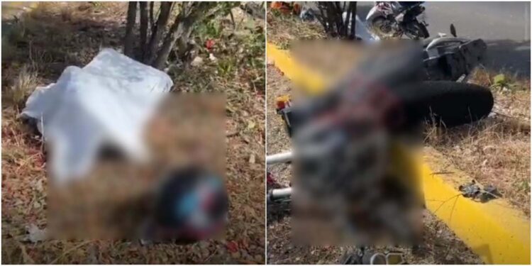 La conductora perdió la vida en el lugar del accidente.