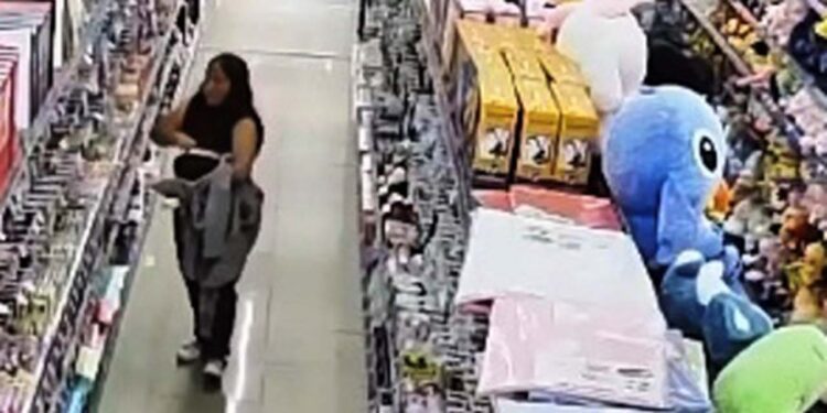 La joven de 21 años fue sorprendida intentando robar diferentes artículos.