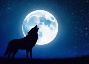 Luna de Lobo 2025: La primera luna llena del año que no puedes perderte