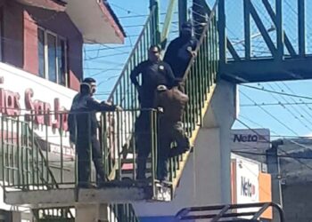 Los hechos ocurrieron cuando en un domicilio ubicado la calle Adolfo López Mateos.