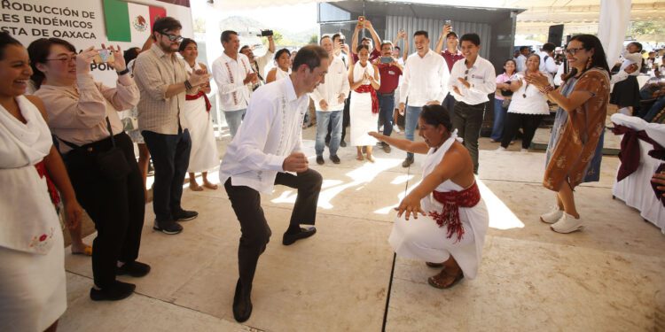 Los invitados pudieron admirar el fandango tradicional que recibió el aplauso de la mesa de honor.