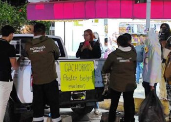 Los presuntos vendedores se encontraban en la zona del tianguis de la colonia Aviación.