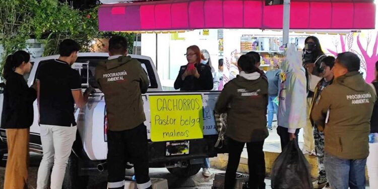 Los presuntos vendedores se encontraban en la zona del tianguis de la colonia Aviación.
