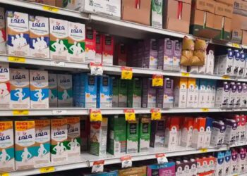 ¿Cuáles son las marcas de leche más económicas y de buena calidad en México?