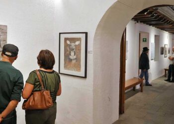 Maries Mediola realiza un registro gráfico de la realidad de un mundo caótico, globalizado, de alta velocidad en la información.