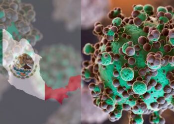 México monitorea el virus Metapneumovirus Humano (HMPV): ¿Un nuevo riesgo para la salud?