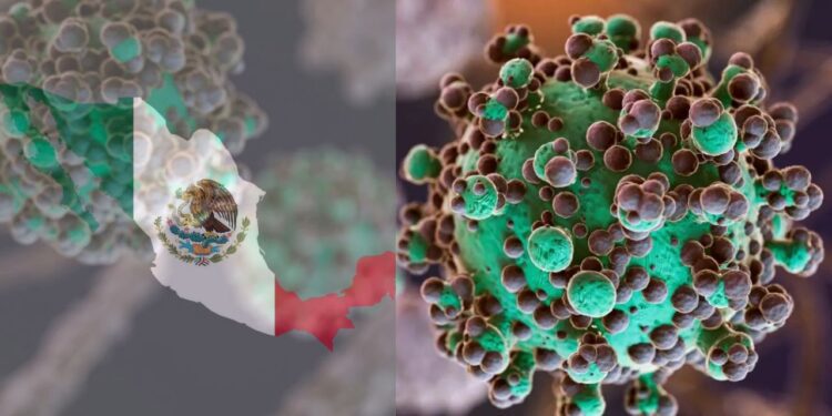 México monitorea el virus Metapneumovirus Humano (HMPV): ¿Un nuevo riesgo para la salud?