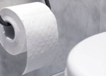¿Dónde debe tirarse el papel higiénico: en la taza del baño o en el bote de basura?