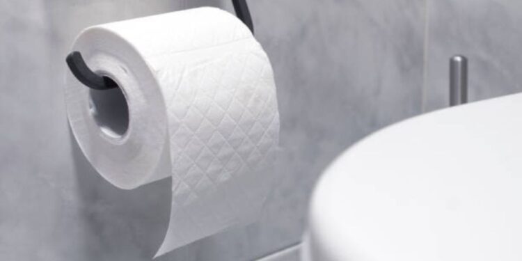 ¿Dónde debe tirarse el papel higiénico: en la taza del baño o en el bote de basura?
