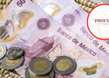 ¿La propina será obligatoria en 2025? Esto dice la Profeco