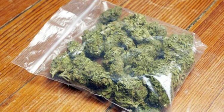 Sorprenden a joven con marihuana; queda detenido.