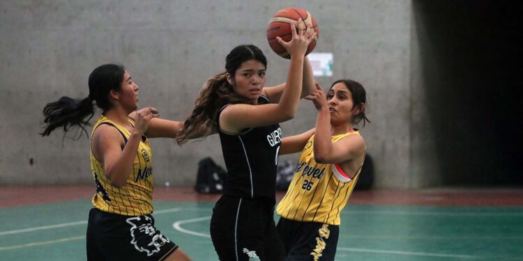 Fotos: Leobardo García Reyes // Se espera que la copa se pueda replicar.