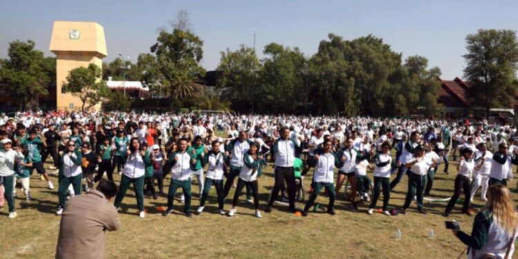 Se promueve la actividad física entre las personas.