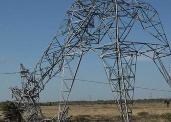 Torres caídas y apagones en el Istmo de Tehuantepec por Frente Frío 24 y sus fuertes vientos