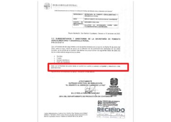 ¡Polémica en Oaxaca! Memorándum de SEFADER expone presunto control sobre redes sociales de empleados