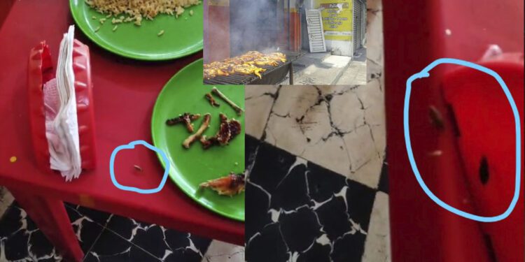 VIDEO | Denuncian plaga de cucarachas en pollería “Pollos El Pechugón” en Tuxtepec