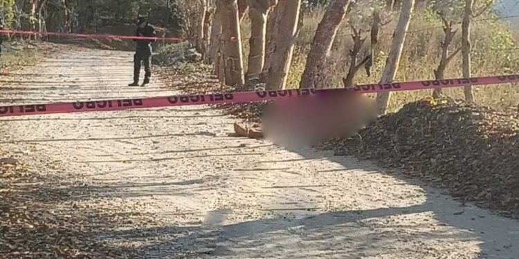 ¡Horrendo hallazgo! Lo encuentran degollado y con huellas de tortura en Pinotepa Nacional