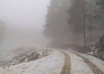 Foto: archivo // Se pronostica el descenso de temperaturas de 0 a 5 grados y sensación de ambiente muy frío en elevaciones mayores a los mil 850 metros en el estado.