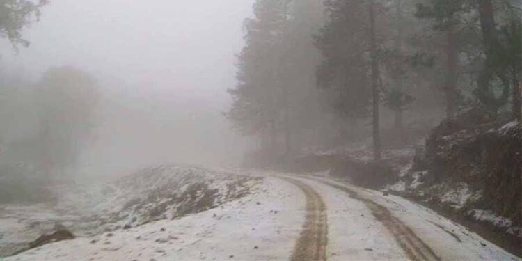 Foto: archivo // Se pronostica el descenso de temperaturas de 0 a 5 grados y sensación de ambiente muy frío en elevaciones mayores a los mil 850 metros en el estado.
