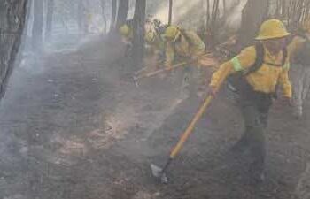 Incendio controlado en Cerro Grande, San Miguel Tilquiápam