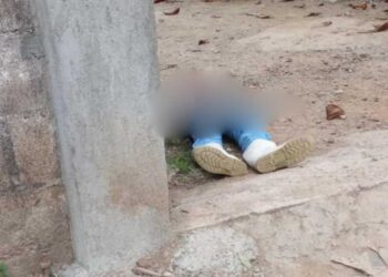 ¡Atroz crimen en pollería de Matías Romero! Le disparan en el ojo