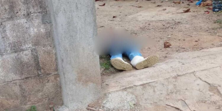 ¡Atroz crimen en pollería de Matías Romero! Le disparan en el ojo