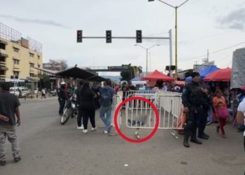 VIDEO | Muerte lo sorprende en la vía pública en vísperas de Los Santos Reyes  