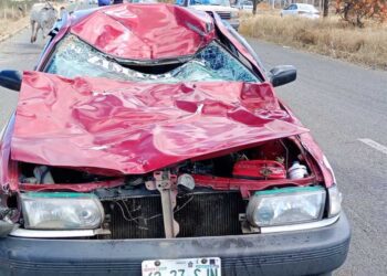 Aparatosa colisión entre taxi y toro deja lesionados y cuantiosos daños materiales en carretera 131