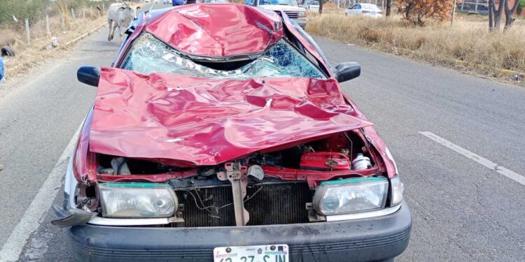 Aparatosa colisión entre taxi y toro deja lesionados y cuantiosos daños materiales en carretera 131