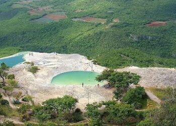 Oaxaca alberga muchos ecosistemas únicos que albergan innumerables especies de flora y fauna.