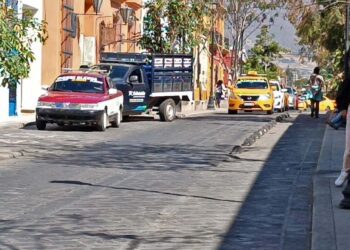 Fotos: Lisbeth Mejía Reyes // El ciclo carril de García Vigil, se encuentra deteriorado y sin atención de las autoridades.