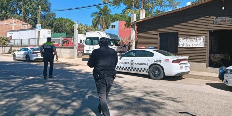 La Guardia Nacional realiza operativos constantes en las carreteras.