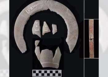 Foto: Agencias // Piers Litherland reveló que habían encontrado la tumba de Tutmosis II, el último rey no descubierto de la XVIII dinastía.