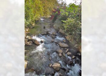 El río de Eloxochitlán de Flores Magón tiene un gran afluente.