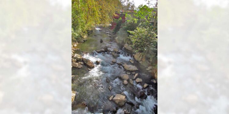 El río de Eloxochitlán de Flores Magón tiene un gran afluente.