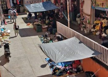 Los policías batallan cada mañana dominical para quitarlos de sus espacios comerciales.