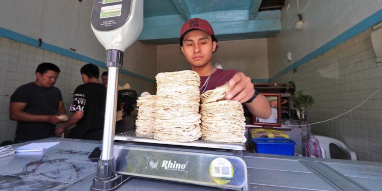 Foto: Adrián Gaytán // Ante el alza en los insumos, el precio de la tortilla registra nuevos incrementos.