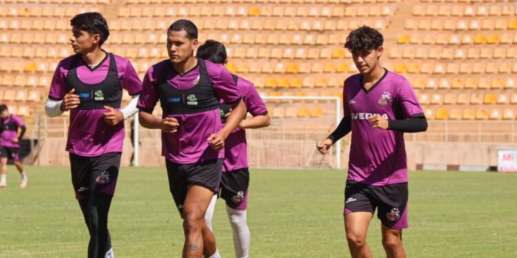 ¡Todos al estadio este viernes! Alebrijes recibe a Correcaminos