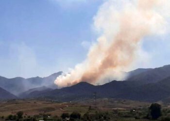 Foto: archivo // En 2024 hubo afectaciones en más de 160 mil hectáreas a raíz de los 275 siniestros.