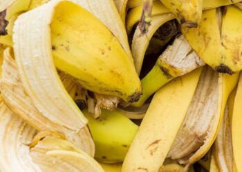 Piensa dos veces antes de tirar la cáscara de plátano: descubre algunos de sus beneficios