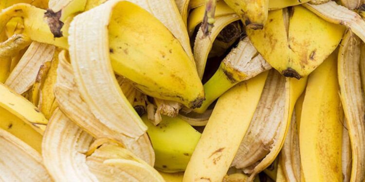 Piensa dos veces antes de tirar la cáscara de plátano: descubre algunos de sus beneficios