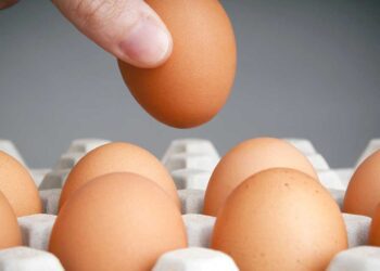 Aumenta huevo 18.98% en quince días; cono, 105 pesos