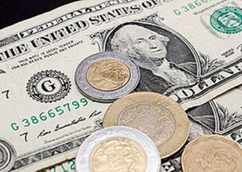 Tipo de cambio del peso mexicano al 24 de febrero de 2025: Dólar y Euro