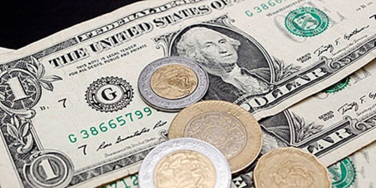 Tipo de cambio del peso mexicano al 24 de febrero de 2025: Dólar y Euro
