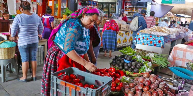 Foto: Adrián Gaytán // En 2020, el INEGI tenía un censo de un millón 221 mil 555 personas hablantes de una lengua indígena.