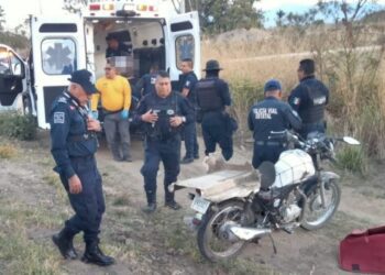 Arrollado en el Tule