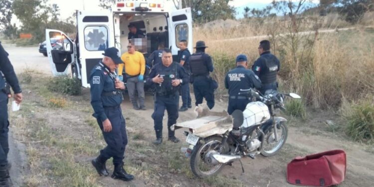 Arrollado en el Tule