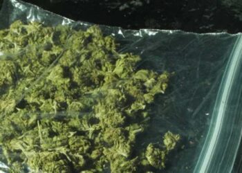 El sujeto fue localizado fumando mariguana en la colonia centro de Huajuapan.