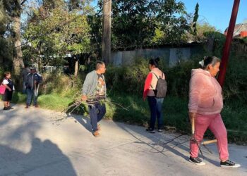 El tequio permitió la recolección de basura y desechos, así como la limpieza de espacios públicos y el deshierbe de jardineras.