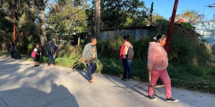 El tequio permitió la recolección de basura y desechos, así como la limpieza de espacios públicos y el deshierbe de jardineras.